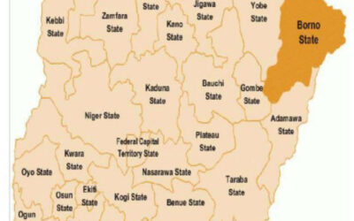 16-year-old Borno girl speaks on choosing marriage after dropping out of school