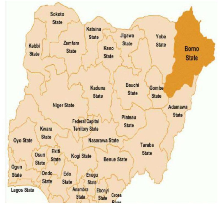16-year-old Borno girl speaks on choosing marriage after dropping out of school