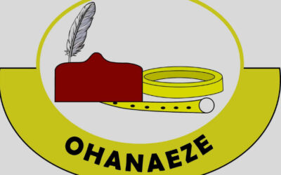 Leaders of Ohanaeze Ndigbo and South-East Development Commission during an economic development meeting in Enugu
