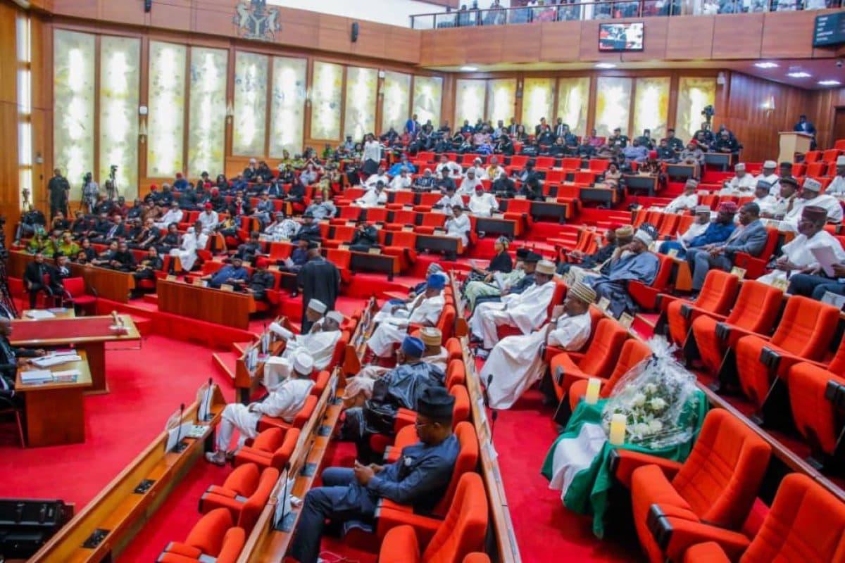 Nigerian Senate lawmakers debate State Police Bill during plenary session